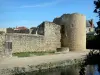 Brie-Comte-Robert castle - Tower and walls of the medieval castle, moats