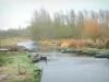 Brière Regional Nature Park - Grande Brière Mottière marsh: canal, boats and trees