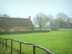 Brière Regional Nature Park - Meadow, house with a thatched roof (thatched cottage) and trees