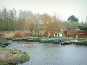 Brière Regional Nature Park - Grande Brière Mottière marsh: canal with boats and trees on the Fédrun island