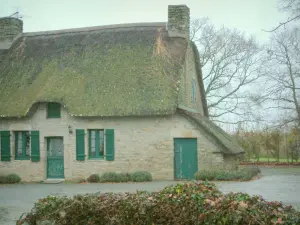 Brière Regional Nature Park - Stone house with a thatched roof (thatched cottage) and trees