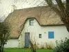 Brière Regional Nature Park - White House with a thatched roof (thatched cottage), shrubs and tree