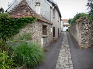 Briis-sous-Forges - Ruelle du village bordée de maisons