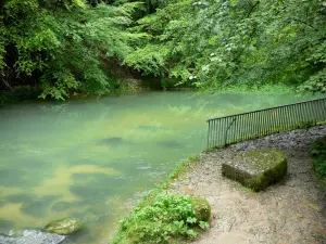 Bron van de Ain - Bron van de rivier de Ain, bomen langs het water ingericht