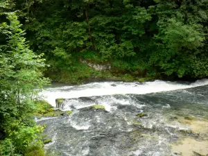 De bron van de Loue - Website Bron: met bomen omzoomde rivier de Loue