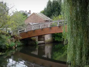 Brou - Bridge spanning the River Ozanne, houses and trees along the water