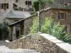 Brousse-le-Château - Antiguo puente gótico con su cruz y casas de piedra de la aldea medieval