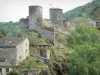 Brousse-le-Château - Blick auf das Schloss von Brousse