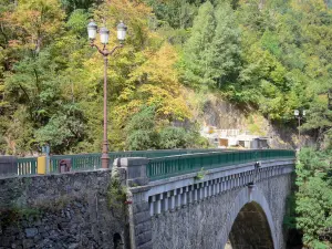 Brücke Napoleon - Brücke mit einem Bogen überspannend den Gebirgsbach Gavarnie, Laterne und Bäume (in der Nähe von Luz-Saint-Sauveur)