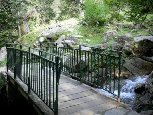 Brug van Spanje - Natuurlijke site van de brug van Spanje: kleine brug over de Gave (rivier), rotsen en bomen in het Parc National des Pyrenees, de stad van Cauterets