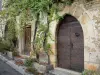 Bruniquel - Maison en pierre avec portes en bois et façade ornée de vigne vierge