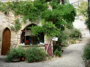 Bruniquel - Casa in pietra e la sua facciata decorata con glicina