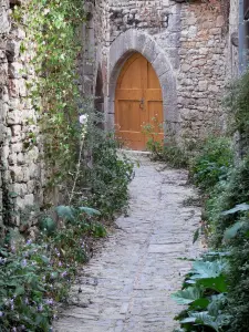 Bruniquel - Strada lastricata fiancheggiata da piante e porta una casa di pietra