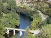 Bruniquel - View of the bridge spanning River Aveyron and banks planted with trees