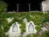 Bruniquel - Facade of a stone house decorated with ivy 