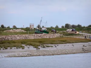 Bucht der Somme - Wrack von Booten, Felsen, Hohe Gräser, Möwen auf dem Strand