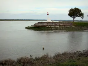 Bucht der Somme - Saint-Valery-sur-Somme: Signallicht, Baum und Bucht