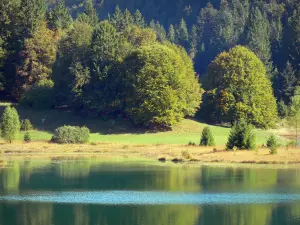 Bugey - Alta Bugey: Lago di Genin, prati e alberi