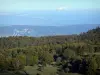 Bugey - Forest in Lower Bugey overlooking the Alps and the Mont Blanc mountain range