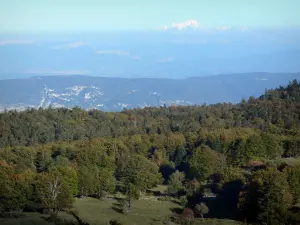 Bugey - Forest in Lower Bugey overlooking the Alps and the Mont Blanc mountain range