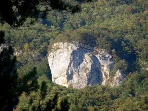 Bugey - Bas-Bugey: Felswand der Schlucht Hôpitaux umgeben von Grün