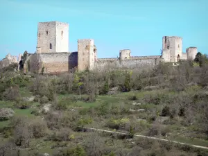 Burg von Puivert - Blick auf die Katharer Burg mit ihrem Burgfried, ihren Türmen und ihren Kurtines, Umgebung mit Bäumen