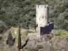 Burgen von Lastours - Turm Régine, eine der vier Katharer Burgen der Stätte Lastours
