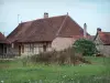 Burgundische Bresse - Bresse Bauernhaus aus Backstein und Fachwerk, Wiesenblumen in einer Wiese vorne