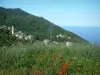 Cabo Córcega - Flores silvestres (amapola), una aldea de la montaña en la costa oeste y el mar