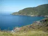 Cabo Córcega - Flores del campo y las colinas de la costa oeste con vistas al mar