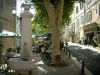 La Cadière-d'Azur - Fontaine, platani (alberi), bar, lampioni e le case del borgo medievale