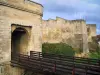 Caen - Puente levadizo del castillo ducal y la vivienda (fortaleza), el Museo de Bellas Artes y el Museo de Normandía el cielo, nublado