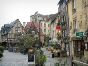 Caen - Houses, restaurants, lampposts and shrubs in the Vaugueux street