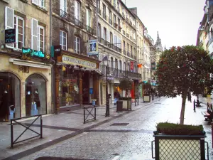 Caen - Buildings, shops, lampposts, and shrubs in jars in the Saint-Pierre street