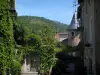 Cahors - Vegetation und Häuser der Altstadt, im Quercy