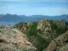 Les Calanques de Piana - Calanche de Piana: Amas rocheux de granit rouge (des calanques) avec des arbres, falaises et mer méditerranée en arrière-plan