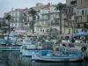 Calvi - Los barcos de pesca desde el puerto (marina de guerra), los muelles, las palmeras, cafés al aire libre y restaurantes, casas