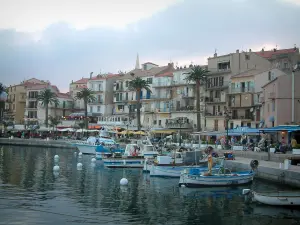 Calvi - Port de plaisance (la marine), bateaux de pêche, quais, palmiers, terrasses de cafés et de restaurants, maisons