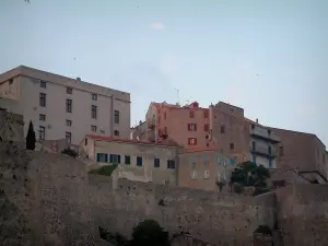 Calvi - Maisons et remparts de la citadelle