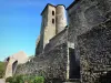 Camon - Kerktoren (oude abdij) en wanden