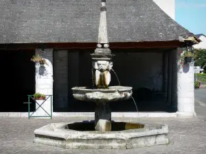 Campan - Fontaine et halles du village ; dans la Bigorre