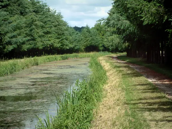 Le canal de Berry - Guide tourisme, vacances & week-end dans le Cher