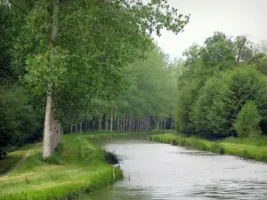 Canal de Berry - Canal bordé d'arbres