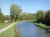 Canal de Bourgogne - Chemin de halage le long du canal de Bourgogne bordé d'arbres