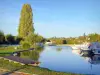 Canal de Bourgogne - Bateaux du port de plaisance de Saint-Florentin