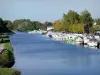 Canal de Bourgogne - Bateaux du port de plaisance de Brienon-sur-Armançon et canal de Bourgogne bordé d'arbres