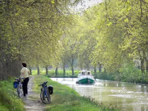 Canal del Medioda - Paseo en barco por el canal y paseo en bicicleta a lo largo del camino de sirga