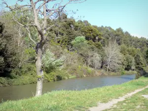 Canal del Medioda - Dé un paseo a lo largo de la vía fluvial