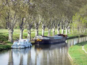 Canal del Medioda - Barcos amarrados, plátanos y mesas de picnic en la orilla del agua