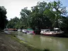 Canal del Mediodía - Berge, con barcazas y barcos amarrados, y los árboles